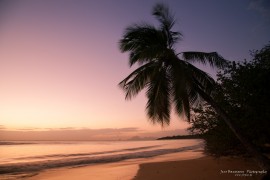 Martinique