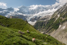 Bäregghütte