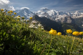 Männlichen Grindelwald