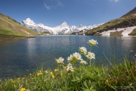 Bachalpsee