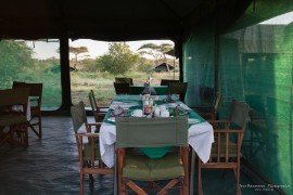 Serengeti Halisi Tented Camp