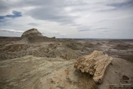 Petrified Forrest Sarmiento