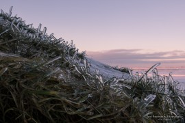 Ice at Seljalandsfoss