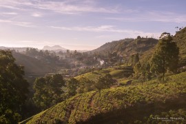 Morning view of Nuwara Eliya