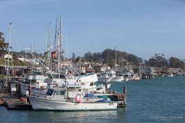 Morro Bay