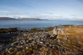 West Fjords