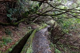 Levada 25 Fontes