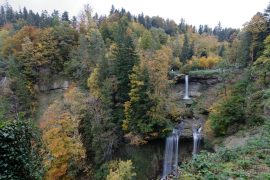 Scheidegg Waterfall