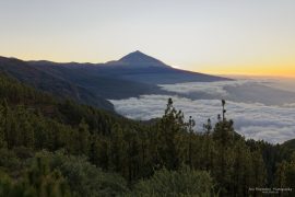 Teide