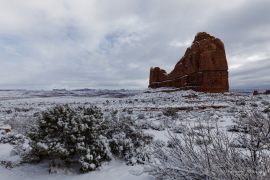 Arches - winter wonderland
