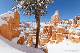 Bryce Canyon - Queens Garden Trail in winter