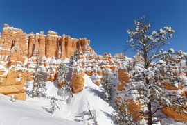 Bryce Canyon - Queens Garden Trail in snow