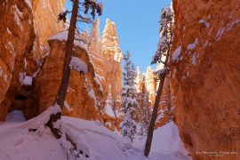 Bryce Canyon - Queens Garden Trail in snow