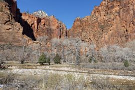 Zion National Park