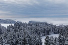 Allgäu im Winter