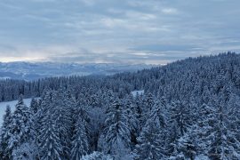 Allgäu im Winter
