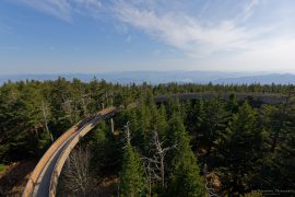 Kuwohi, Smokey Mountains NP