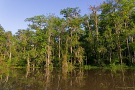 Old Pearl River