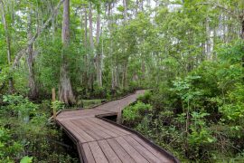 Jean Lafitte National Historical Park and Preserve