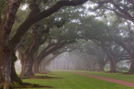 Oak Alley Plantation