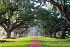 Oak Alley Plantation