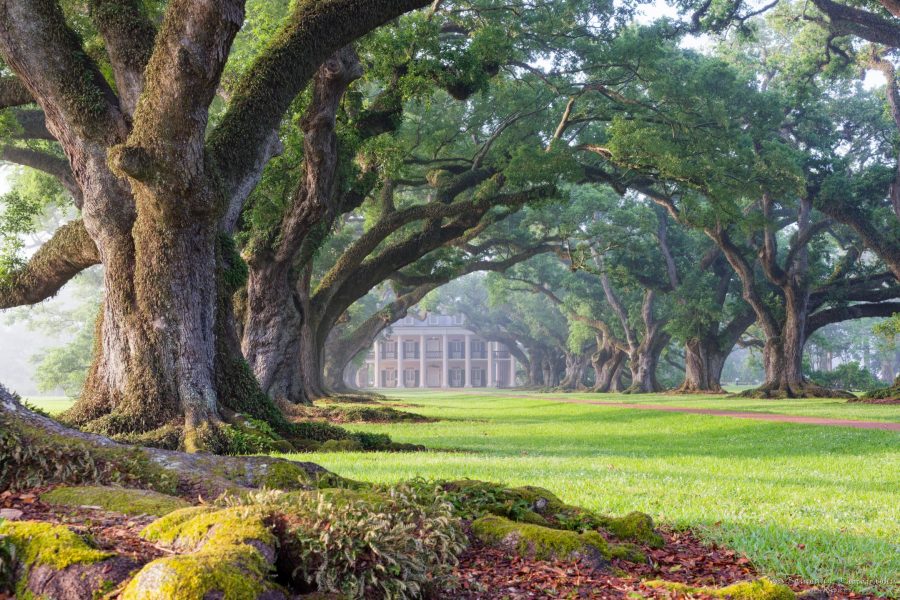 Oak Alley Plantation