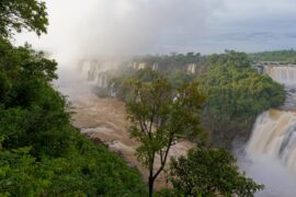 Iguazu - am Morgen