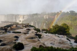 Iguazu - am Morgen