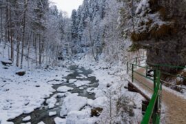 Breitachklamm im Winter