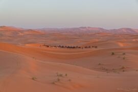 Merzouga