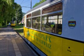 Fahrt ins Kirnitzschtal