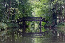 Paddeln im Spreewald