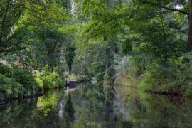 Paddeln im Spreewald