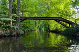 Paddeln im Spreewald