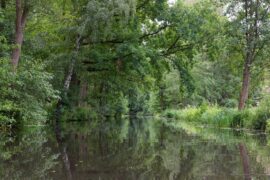 Paddeln im Spreewald