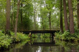 Paddeln im Spreewald