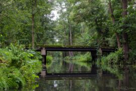 Paddeln im Spreewald
