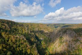 Blick vom Hexentanzplatz